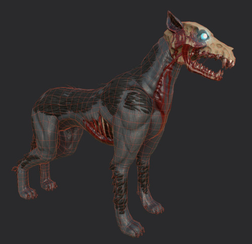 Hellhound for a secret project I’m working on.Check out the 3D viewer on Artstation