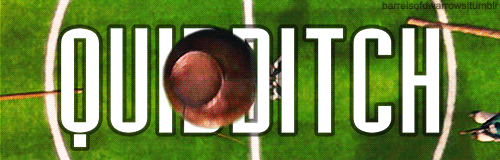 barrelsofdwarrows:  &ldquo;Right,&rdquo; said Wood. &ldquo;Now, Quidditch