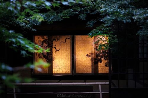 Kyoto.Photography by itsma___kpan