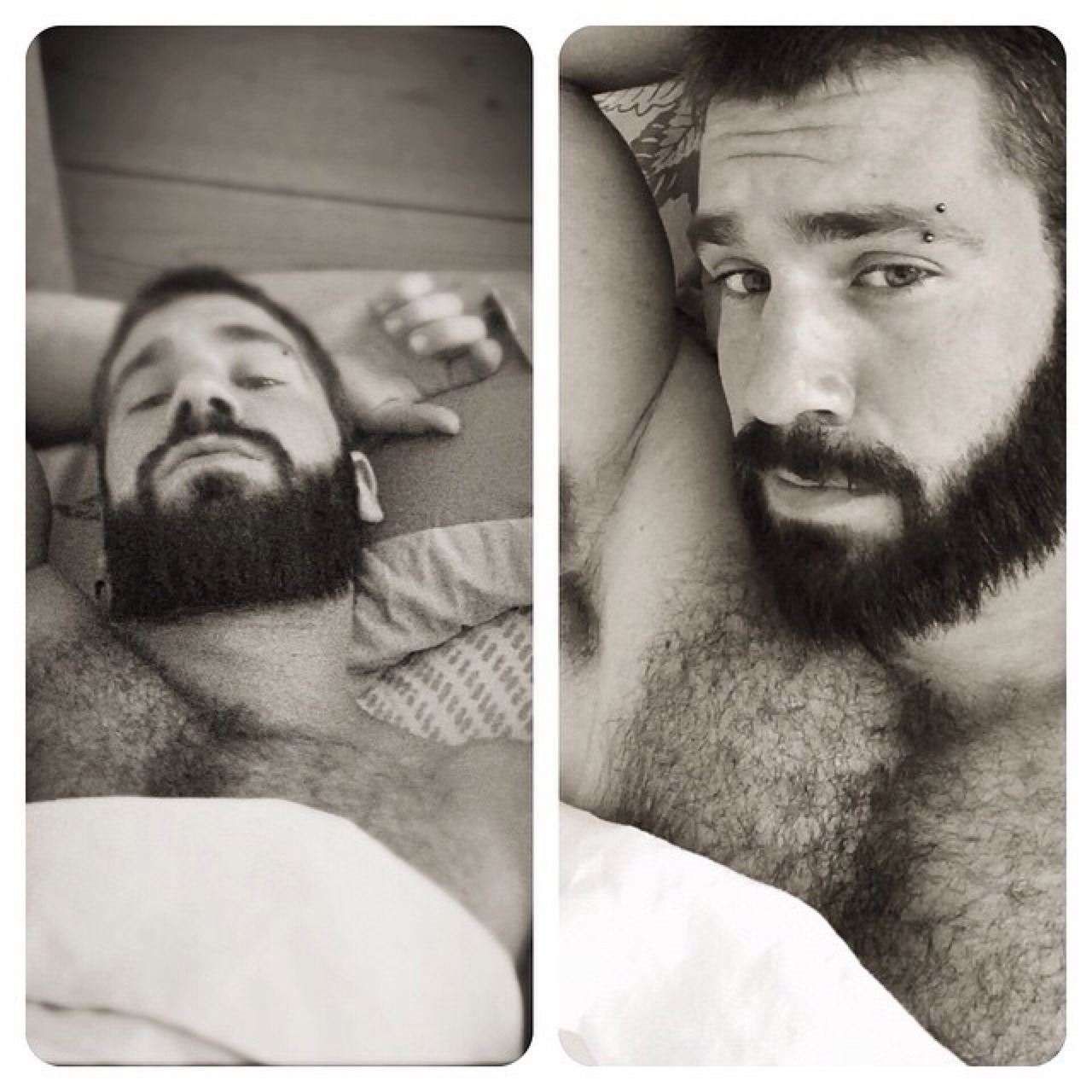 beardburnme:  lemalealpha