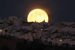 reuters:  The Supermoon rises over houses in Olvera, in the southern Spanish province of Cadiz, July 12, 2014. Did you miss the Supermoon? See our gallery: http://reut.rs/U4OTGR (Photo credit: REUTERS/Jon Nazca) 