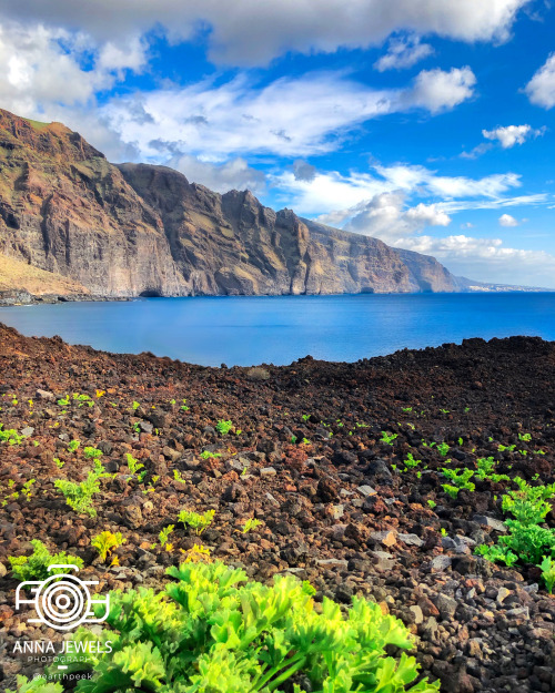 Tenerife - Spain (by Anna Jewels (@earthpeek)) www.instagram.com/earthpeek/ 