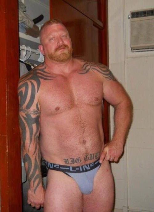 fhabhotdamncobs: thickbear475: dutchbear74: I just love ginger bears #gingerbear RED~! W♂♂F     (