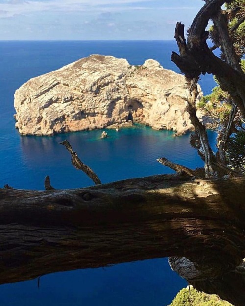 lanuovasardegna:L’isola Foradada, Alghero. Questa foto è di Giorgia Cogoni @giorgia_cogoni Mostrate 