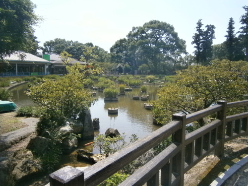 My flatmate and I found this beautiful place in Dazaifu, a little off the usual paths. There is also