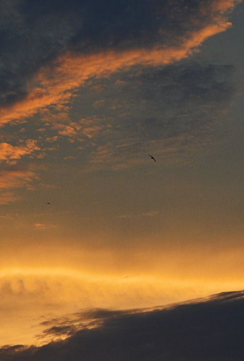 Photography By Peter Solarz