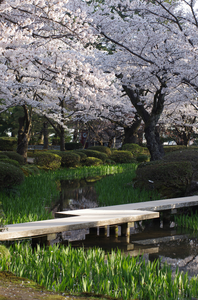 miizukizu:© | PBY (Do not remove credits)