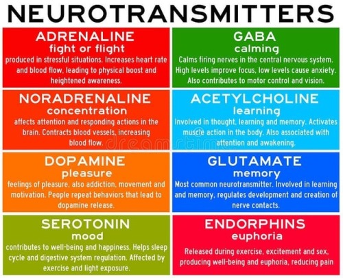 Neurotransmitters are chemicals that help in transmitting signals across a synapse.Different neurotr