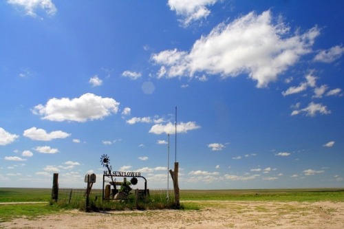 Mount Sunflower: the highest point in the state of Kansas (4,039 feet above sea level)