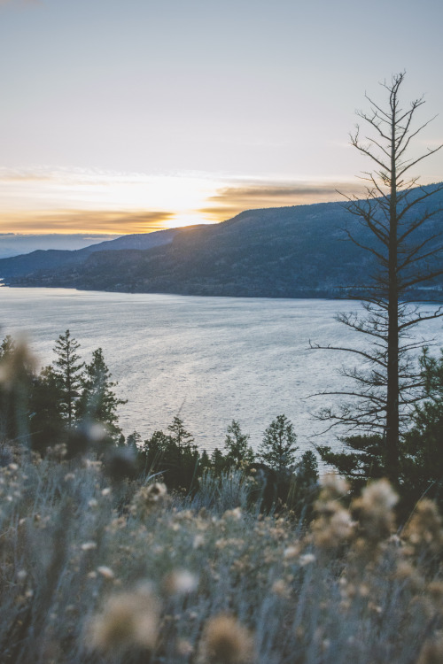 Lake Okanagan, Kelowna BC. 2019. | instagram | prints