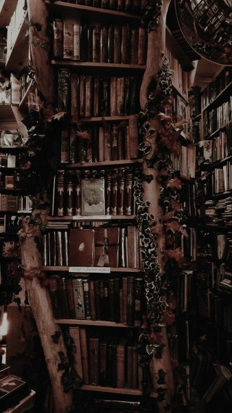 little-witchys-garden: