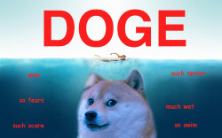 dogeify:  Doge wow. 