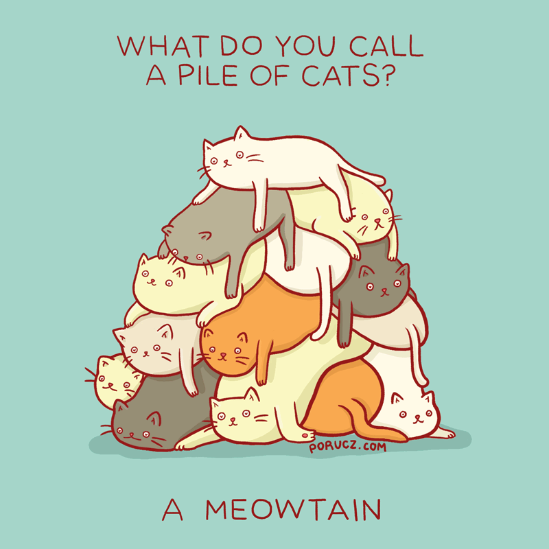 thefrogman:  By Michelle Porucznik [website | tumblr | store]