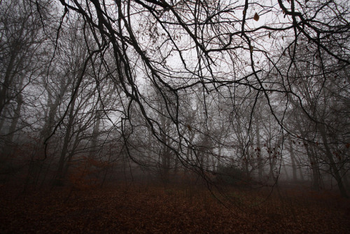 unbenannt by Cheese_And_Wine on Flickr.