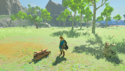 theloadingscreenblog:  The Legend of Zelda: Breath of the Wild screenshots batch 2! Enjoy!