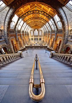 cozylondon:Natural History Museum, London.