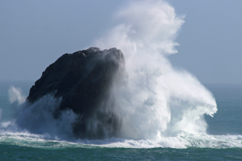 tulipnight:  Restless Sea by Kim MITCHELL