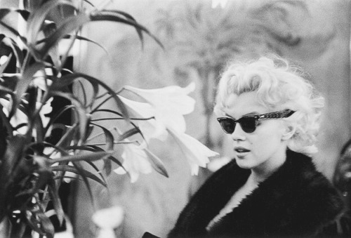 Porn dose-of-beauty:  Marilyn Monroe  photos