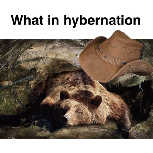 silly-slacker-person: @saccharinescorpion