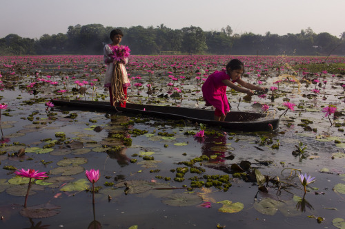 XXX soon-monsoon:    								Somewhere in Bangladesh photo