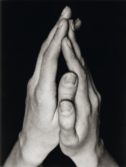 inneroptics:  Hände [Hands], 1926-1927 - Albert Renger-Patzsch.  