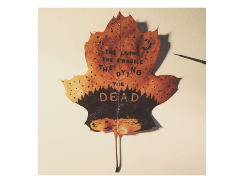 graphicdesignblg: Autumn by Oban JonesFollow us on Instagram @graphicdesignblg