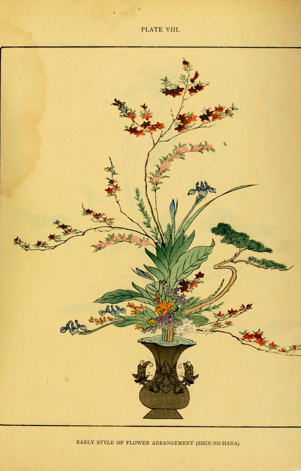 wapiti3:  The floral art of Japan : being a second and revised edition of the flowers
