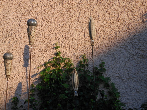 spaziergaenge-blog:  Schloß Pfaffstätt | 7.2014