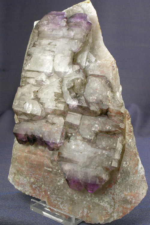 Elestial Smoky Amethyst Quartz - Little Gem Mine, Montana