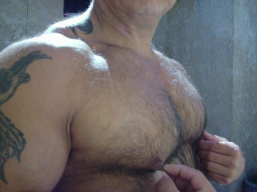waveblue52:  Hairy man tits……… 