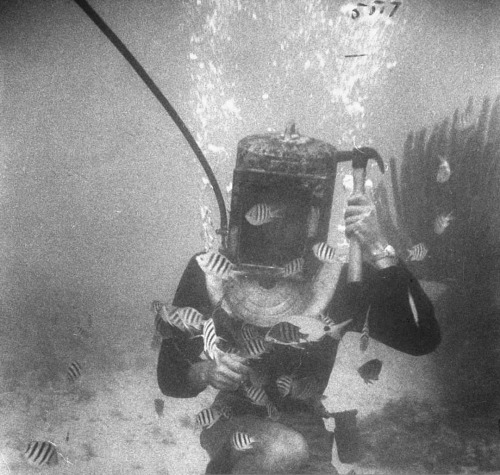 equatorjournal:Peter Stackpole, An underwater actress playing with the fish in the ocean to make an 
