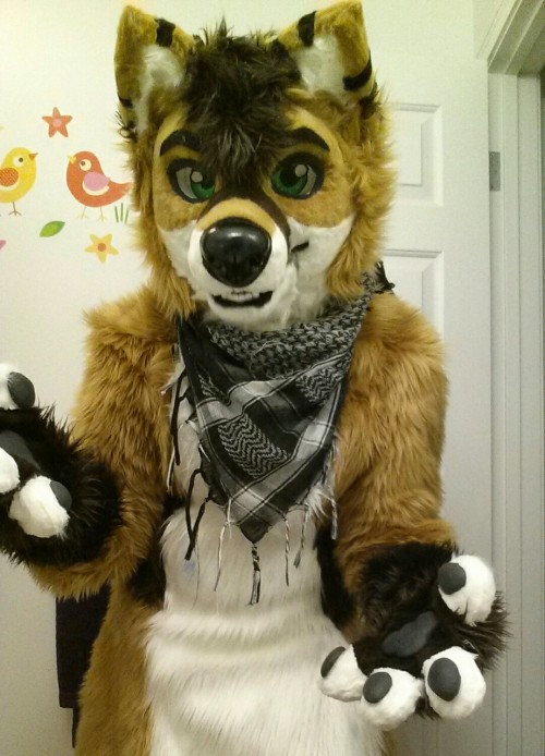 ☆🐾🐺I'M A DOG🐺🐾☆