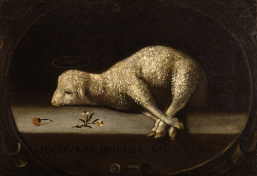 lionofchaeronea:The Sacrificial Lamb, Josefa de Óbidos (Josefa de Ayala), between circa 1670 and 168