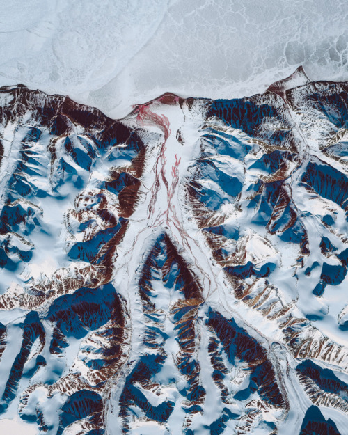 dailyoverview:Frozen tributaries branch off the Scoresby Sund, a large fjord system on the east coas