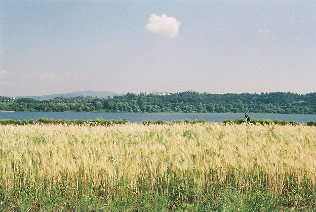 englishsnow:    Seiman C Photography 