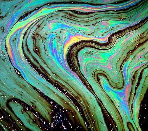 the-psychedelic-sea:sipping the gutter