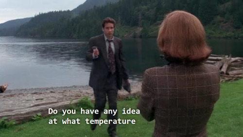 Mulder&hellip;&hellip;&hellip;&hellip;&hellip;