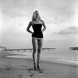 geogalma:  Diana Dors   