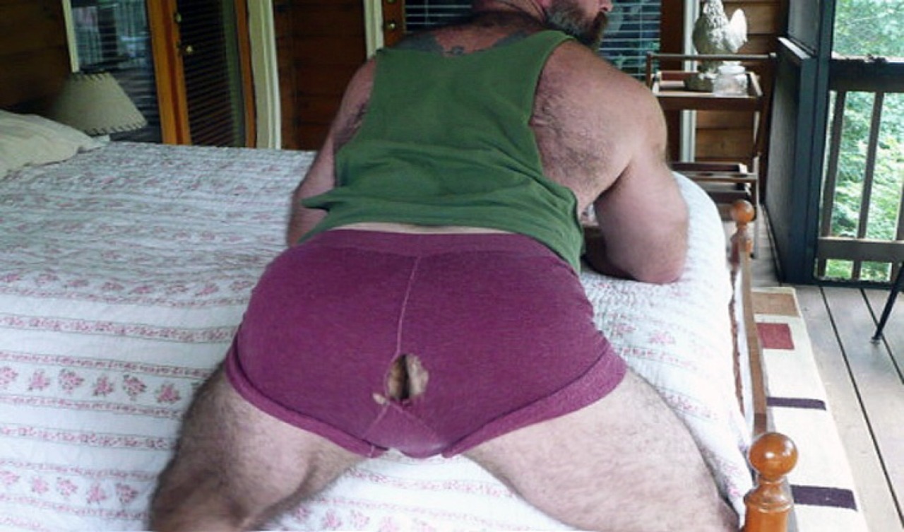 beefy Bears