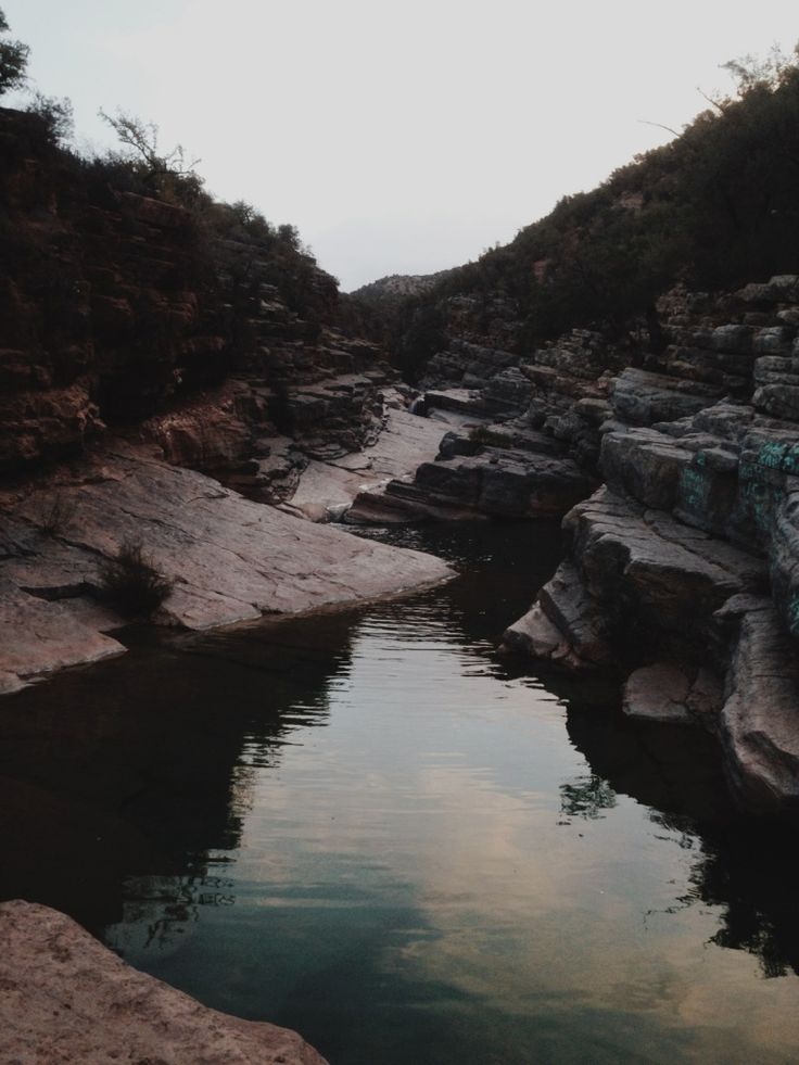 danielodowd:  nicolakatie