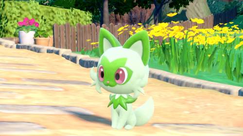 Reblog To Show Sprigatito Some Love And They Will Protect Your Blog From Negativity