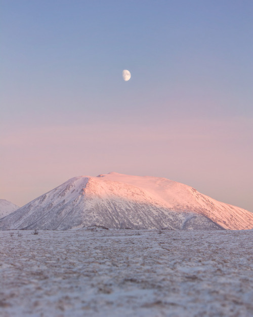 escapekit:  Moments With the Moon Norway-based photographer Bjørg-Elise Tuppen shares beautiful moments with the moon.  