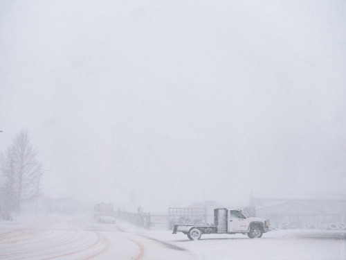 one last blast of winter. this week we had a legitimate blizzard roll through. I got out for an hour