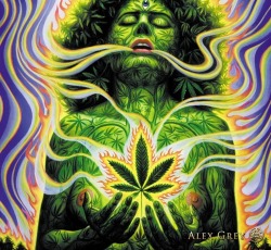 ALEX GREY