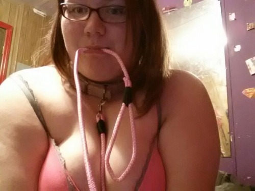 chubbypupchick:  I need a dommy/owner  porn pictures