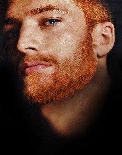 toineaunaturel:  un beau barbu ginger 