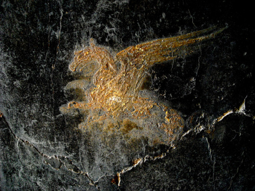 fuckyeahwallpaintings:“Griffon”- wall painting in the “House of Menander” at Pompeii, Italy, before 