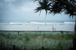 surf4living:snapper abovekirra belowthank you cyclone marciaphotos: karin christen
