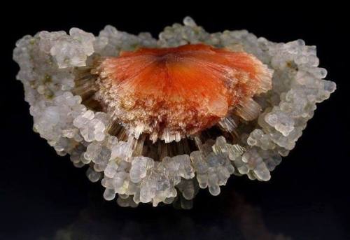ScoleciteHere we have one of the extensive zeolite family of minerals that usually precipitates from