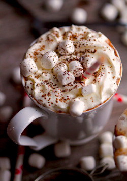 foodopia:  Classic Hot Chocolate 